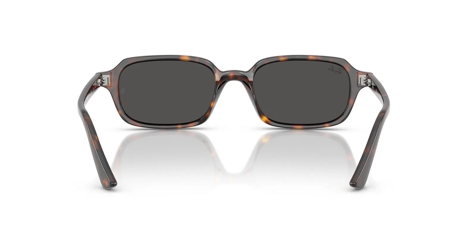 Ray-Ban Zuri 4455F Sunglasses - view 8